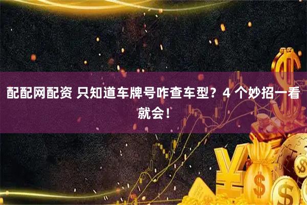 配配网配资 只知道车牌号咋查车型?4 个妙招一看就会!