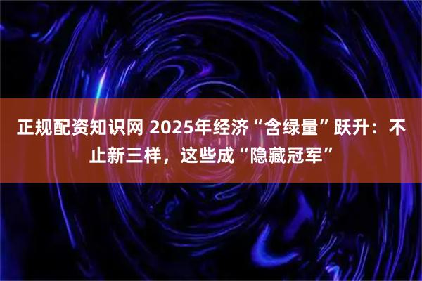 正规配资知识网 2025年经济“含绿量”跃升：不止新三样，这些成“隐藏冠军”